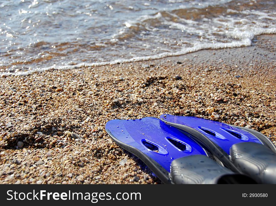 Blue flippers by the sea