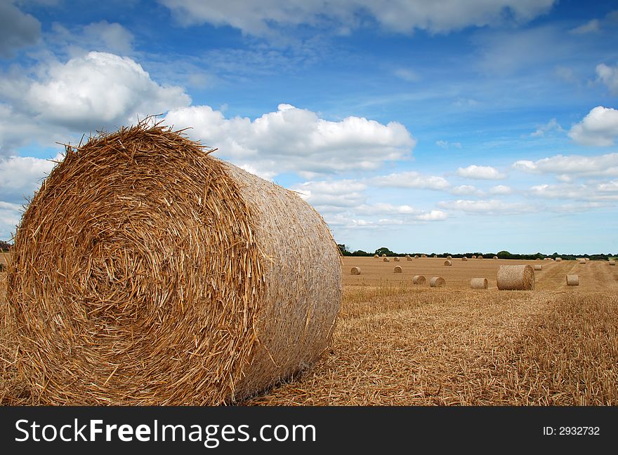 Straw Bales After Harvest