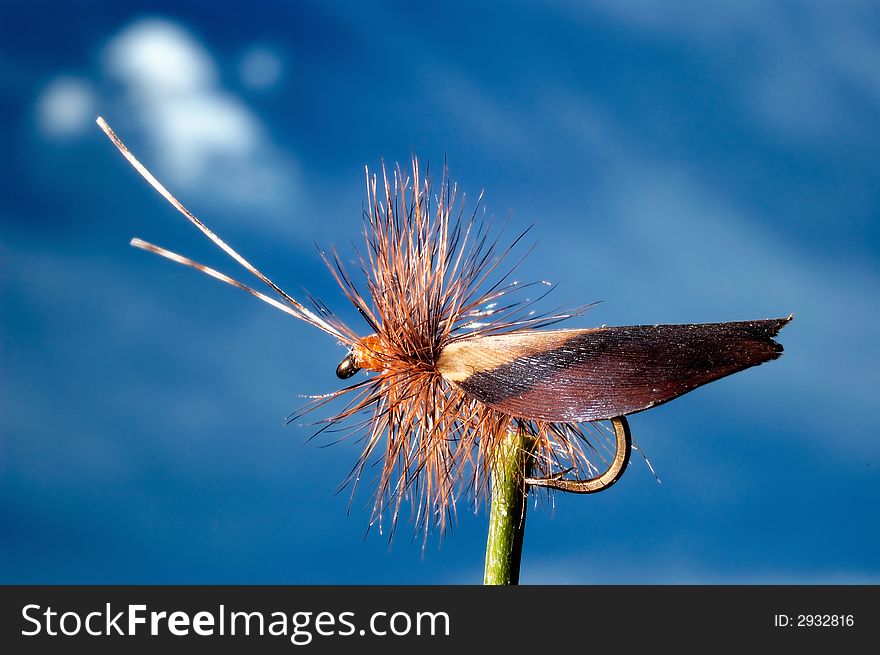 Artificial fly for fly fishing. Artificial fly for fly fishing