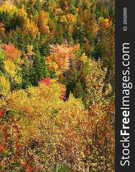 Autumn scene in mountains at Michigan upper peninsula. Autumn scene in mountains at Michigan upper peninsula