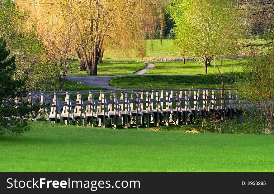 Colorful willow trees during spring time in a park. Colorful willow trees during spring time in a park