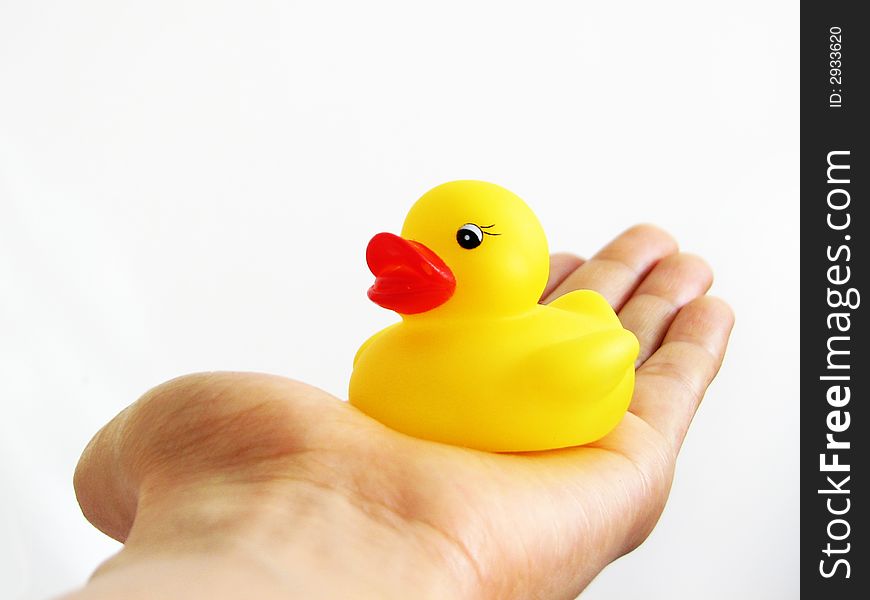 A mini rubber ducky resting in my hand. A mini rubber ducky resting in my hand.