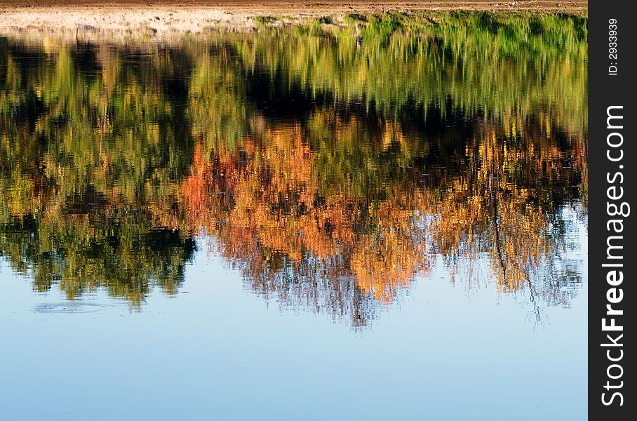 Reflection of an autumn wood in the river