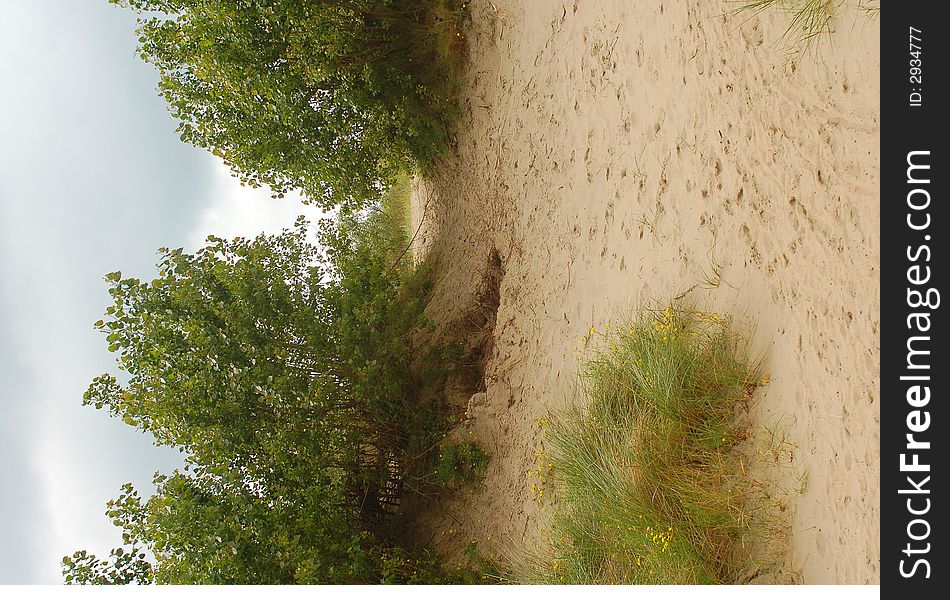 Dunes in Belgium coast in oostduinkerke