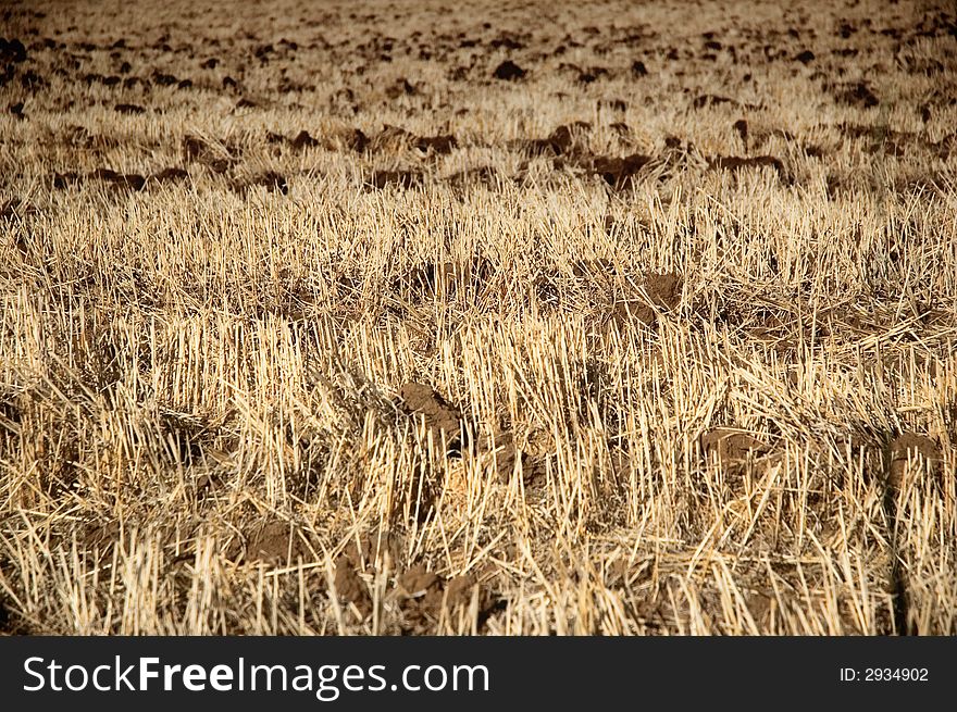 Straw field detail after harvest with broken and turned earth
