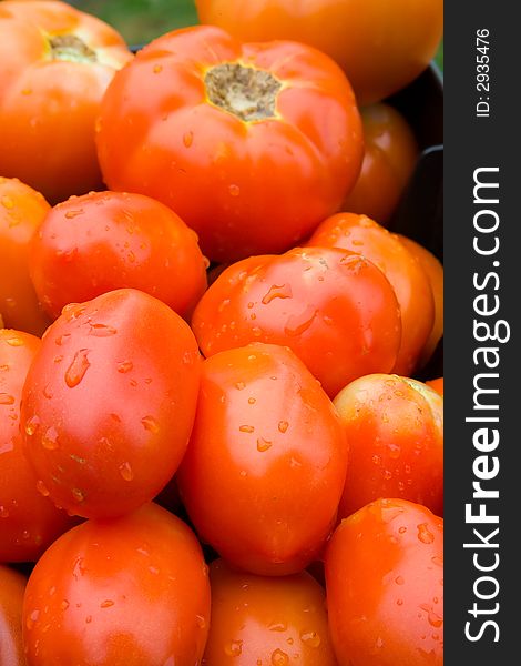 A bunch of red ripe tomatoes.