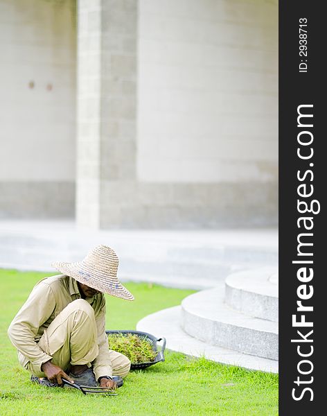 A gardener ensuring the grass is neat and well maintained. A gardener ensuring the grass is neat and well maintained