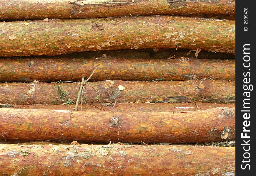 A stack of timber ready for sawmill