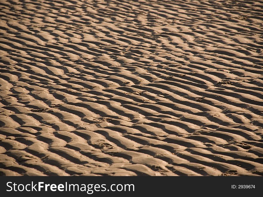 Sand Ripple on the beach