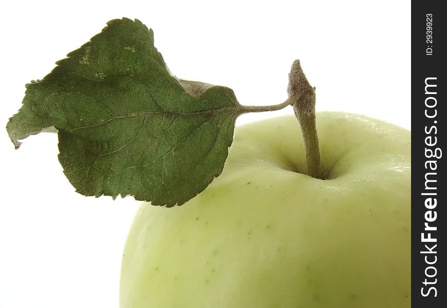 Wild apple fragment at the white background