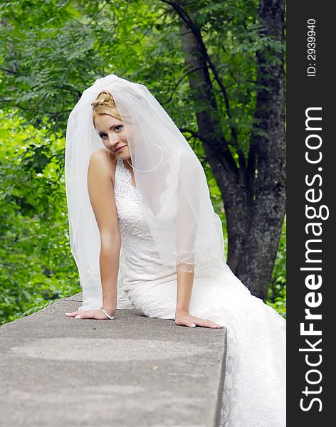 Portrait of beautiful bride with veil. Portrait of beautiful bride with veil