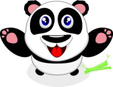 Happy Baby Panda Laughing Royalty Free Stock Photography