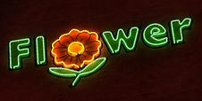 Flower Neon Sign In Green Stock Photo