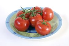 Tomatoes On The Vine Stock Photography Tomatoes On The Vine Stock Photography