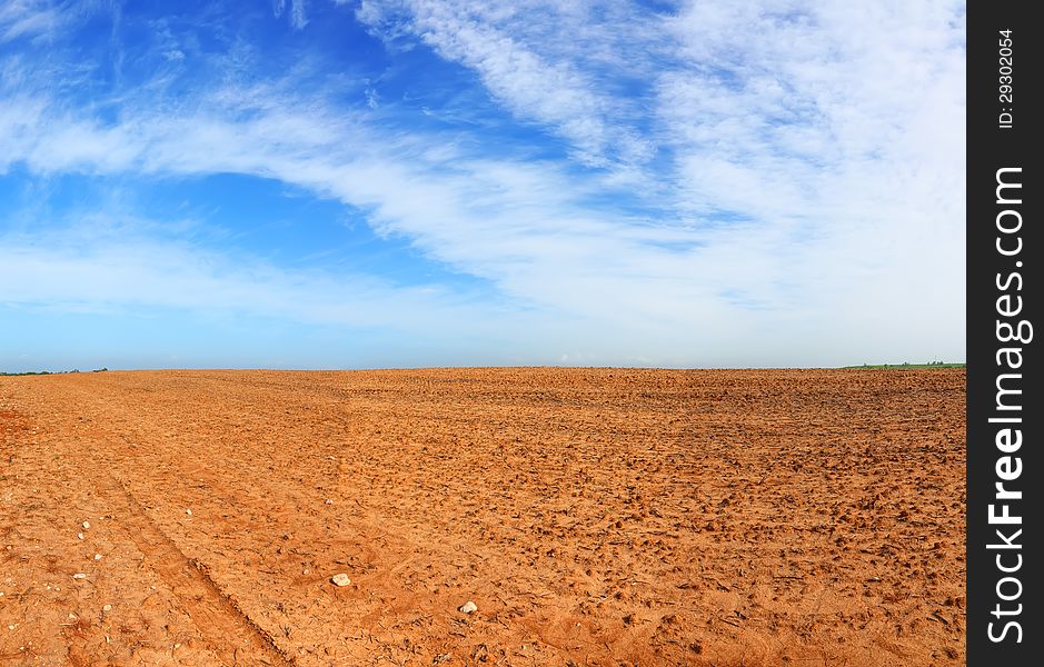 Desert Field Landscape