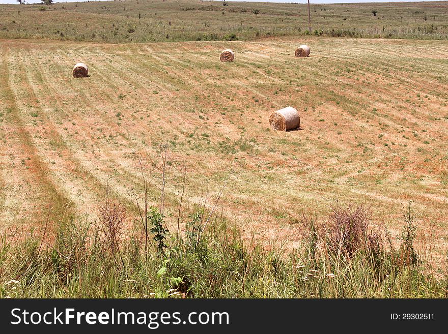 Haystacks After Harvest