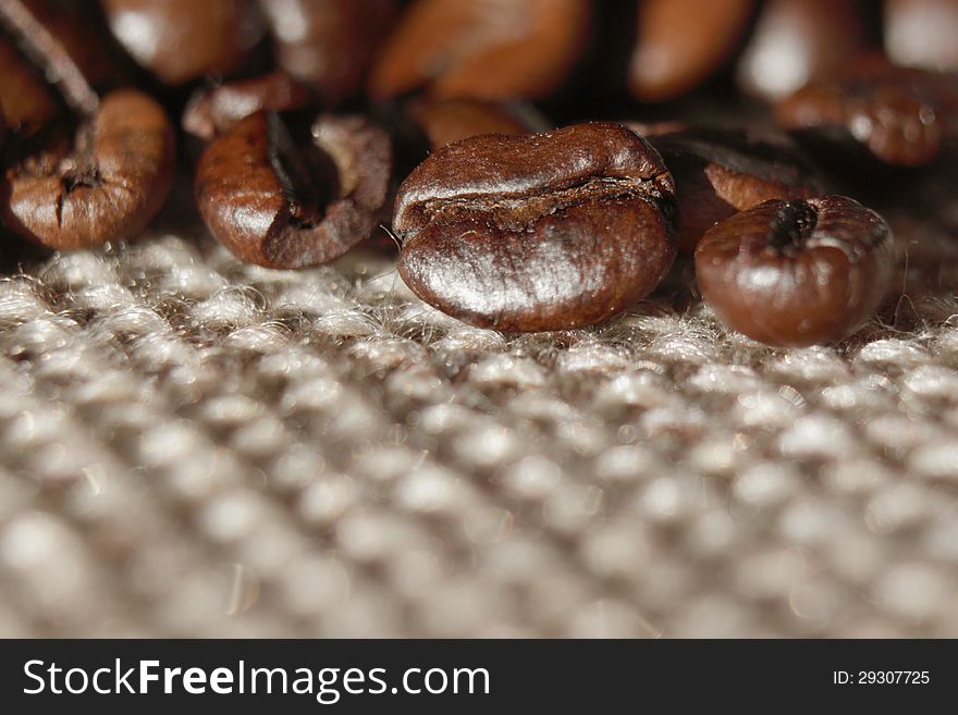 Coffee grunge background on the light background