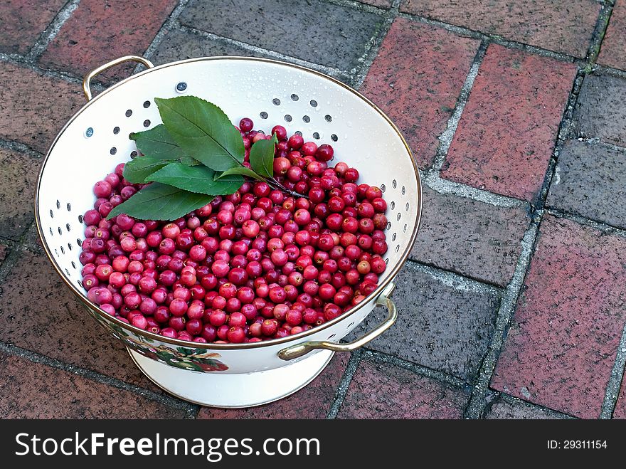 Freshly picked crab apples in colander on brick background.