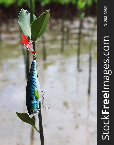 The lure fishing Stuck on tree. The lure fishing Stuck on tree.