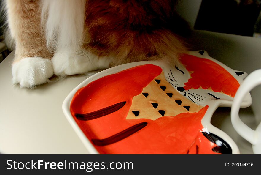 Autumn Photo. Plate With Fox And Cat Sitting On The Table. A Plate In The Form Of A Fox. Top View. Cat& X27 S Paws. Fur And Cute