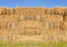 Field With Bales Of Hay Stock Images Field With Bales Of Hay Stock Images
