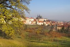 Old Prague From Surrounding Hills Royalty Free Stock Photography