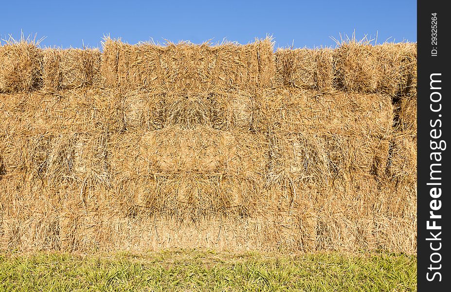 Field With Bales Of Hay