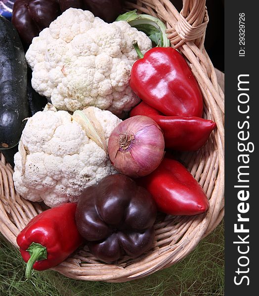 Some fresh summertime vegetable fruits from home garden in to the basket