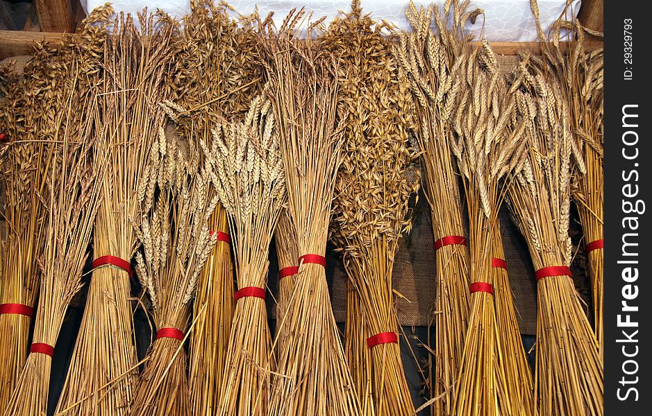 Bolts of mixture cereals drying on the air. Bolts of mixture cereals drying on the air