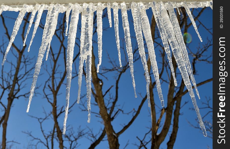 Icicles hanging from the edge of roof.