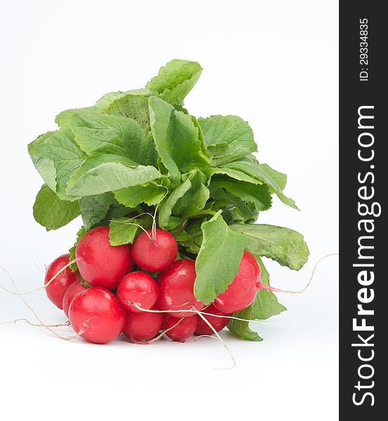Perfect Fresh Raw Radish with Stems and Leafs isolated on white background
