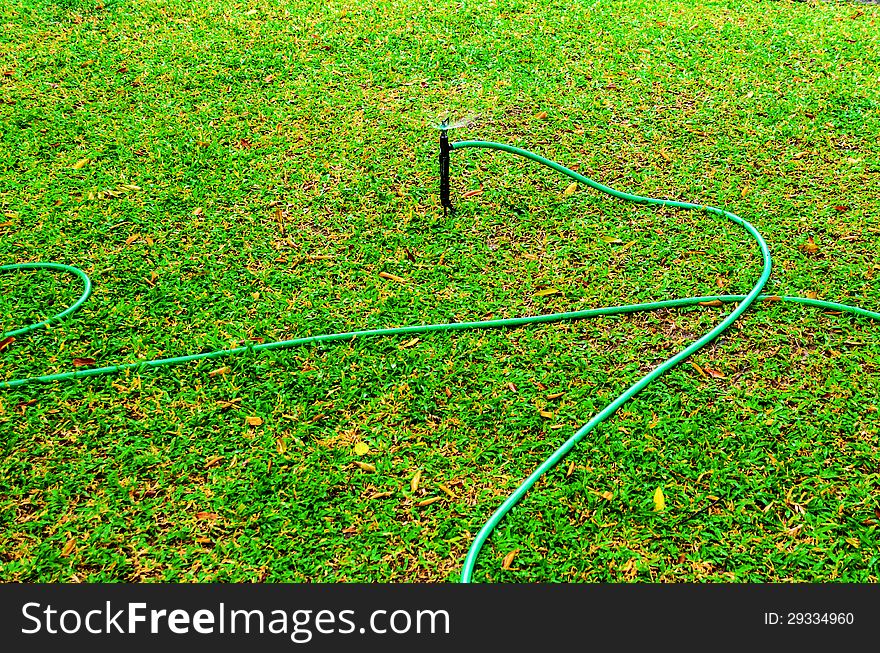 Rubber tube for watering plants in the garden