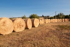 Row Of Bales Of Hay Stock Images Row Of Bales Of Hay Stock Images