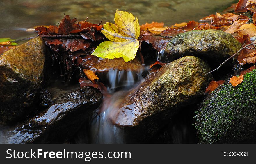 Autumn leaves on a stones covered with moss in mountain stream. Autumn leaves on a stones covered with moss in mountain stream