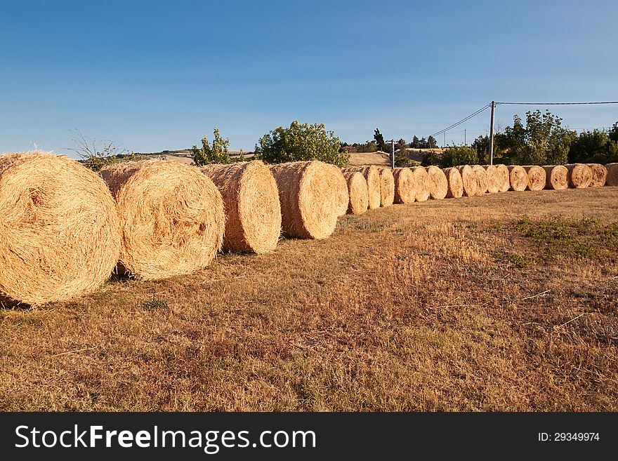 Row of bales of hay in a summer afternoon