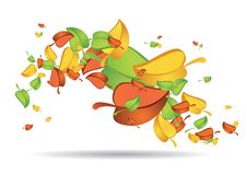 Colourful Leaves Swirling Stock Photography Colourful Leaves Swirling Stock Photography