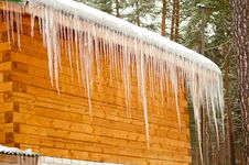 Row Of Icicles Royalty Free Stock Photo
