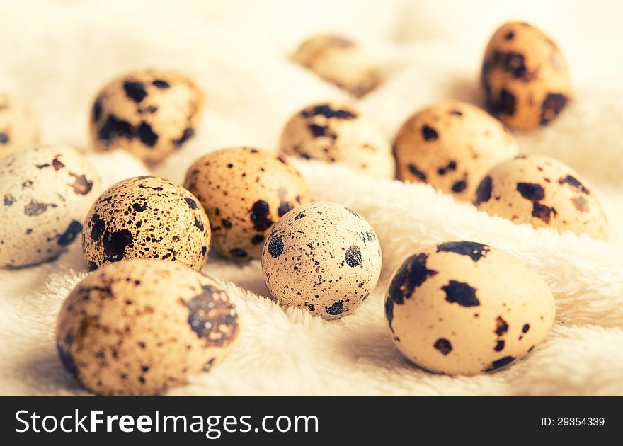 Quail Eggs. Healthy Eating