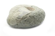 Fossil Stone Stock Photos Fossil Stone Stock Photos
