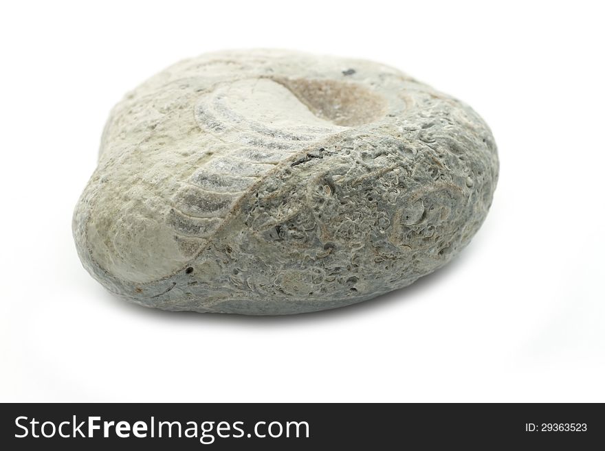 Light single fossil stone isoalted on white background