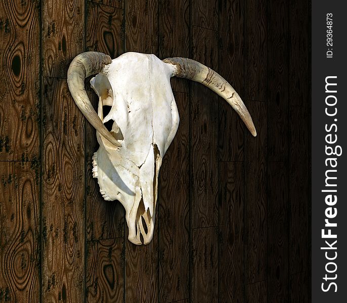 Photo of a cow skull against my illustration of a wooden wall.