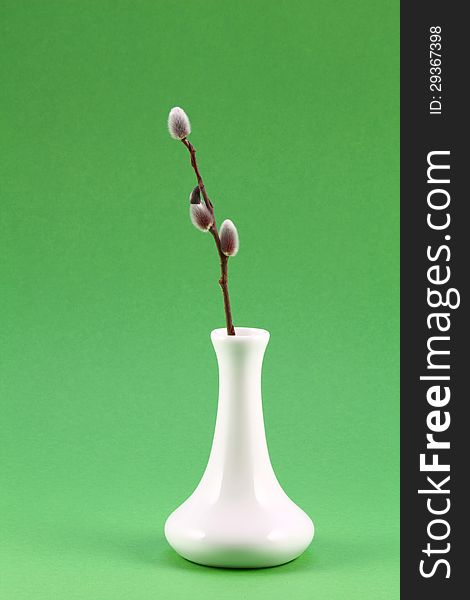 White vase with a sprig of willow on a green background