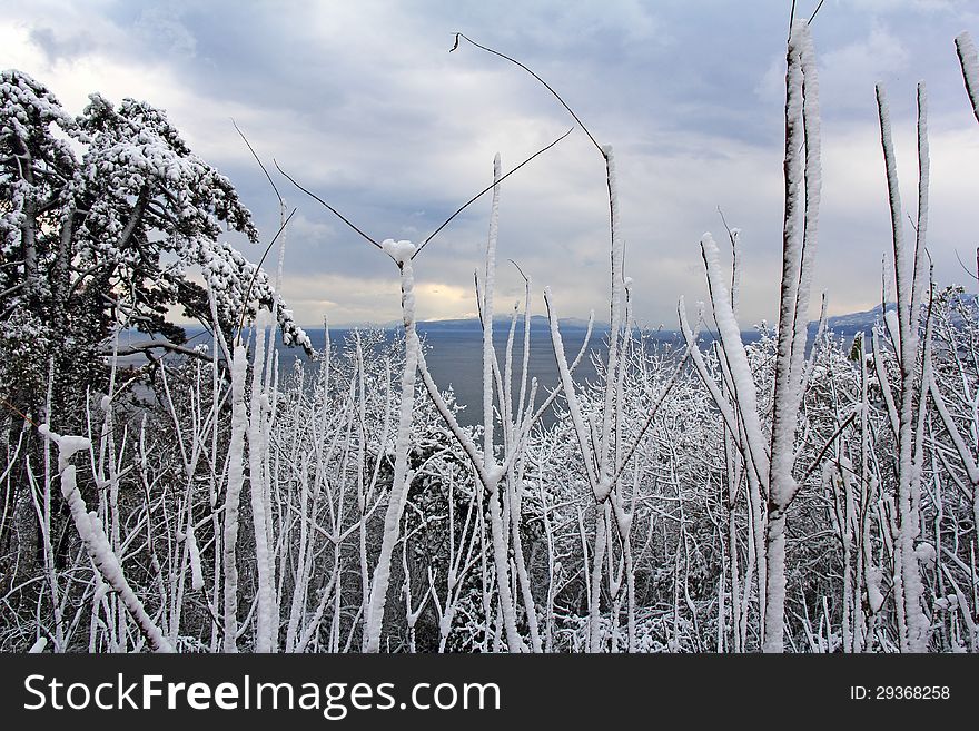 Winter Landscape2