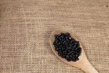 Black Beans In A Wooden Spoon Stock Images