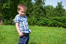 Little Boy Stands On Meadow Royalty Free Stock Photo