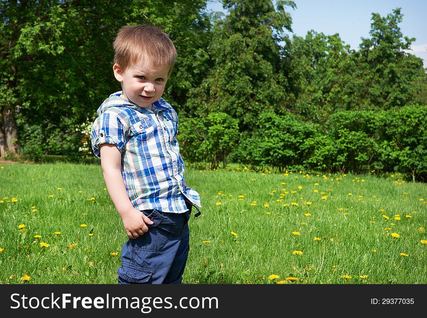 Little Boy Stands On Meadow