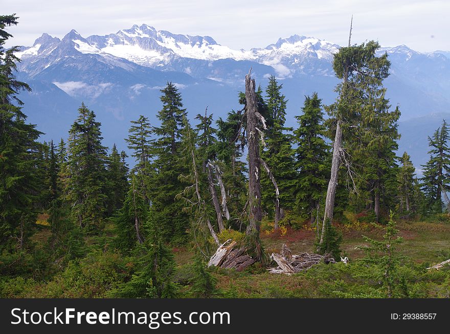 Hiking To Elfin Lakes