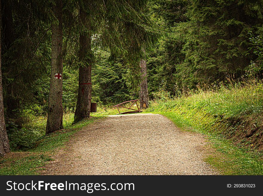 Pietonal forest path from Borsec natural parc.