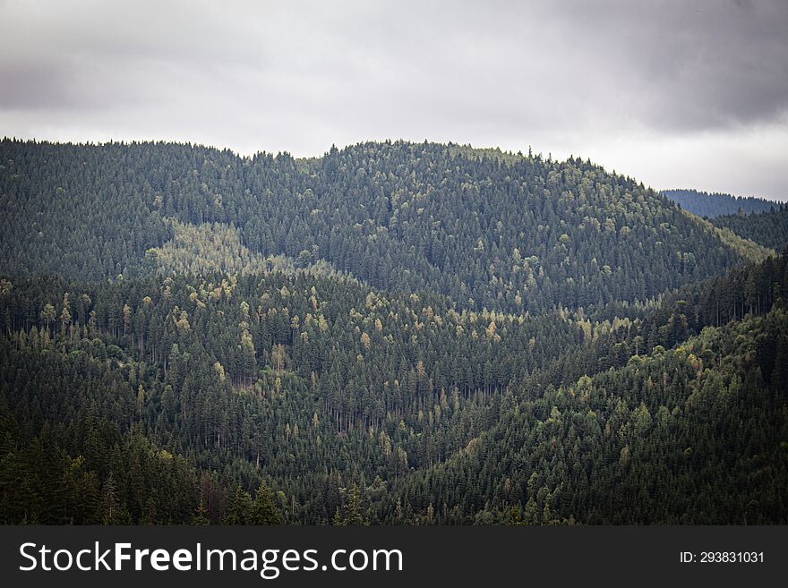 Rainy day above the forest from Borsec