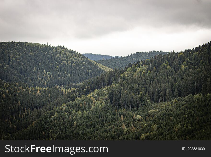 Rainy day above the forest from Borsec